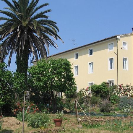 Casa Marce A "Sonno" Bed & Breakfast Porcari Ngoại thất bức ảnh
